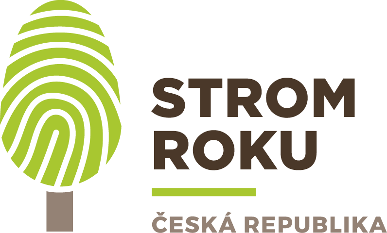 Strom roku